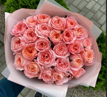 rose_25_orance